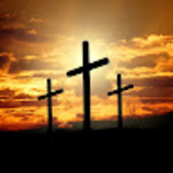 Meet your Posher, Darrell - Picture 1 of 1